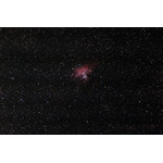 La Nebulosa dell'Aquila M16 ripresa con l'apocromatico 80/500 Omegon da Thomas Schnur