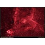 Herznebel, IC 1805, Ha Emissions, fotografiert mit dem HyperStar. (c) Greg Parker and Noel Carboni.