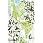 National Geographic Landkarte Karte der Zugvögelwanderung