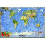 National Geographic Physische Weltkarte groß