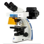 Euromex Microscopio OX.3070, binoculare, Fluarex