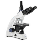 Euromex Microscopio Mikroskop BioBlue, BB.4243, trino, DIN, semiplan, 40x-600x, 10x/18, NeoLED, 1W