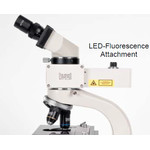 Hund Fluoreszenz-Illuminator Myko