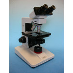 Hund Microscopio H 600 Wilozyt Plan, bino, ph, 100x, - 1000x