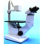 Hund Microscópio invertido Wilovert Standard HF 40, bino, 100x-400x