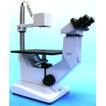 Microscope inversé Hund Wilovert Standard HF 40, bino, 100x-400x