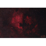 Beispielaufnahme von Jens Hackmann: Nordamerikanebel NGC7000 im Sternbild Schwan