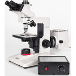 Hund Mikroskop , H 600 LL HP 100, ciemne pole