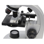 Microscópio com platina para um ajuste preciso - permite ajustar de uma forma precisa a posição do objeto e localizar facilmente a parte do objeto que pretende observar.