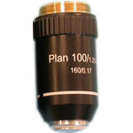 Hund Objektiv plan-achrom. 100x/1,25 für aufrechte Mikroskope