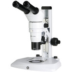 Euromex Stereomicroscopio con testata binoculare ergonomica DZ.1605, 8x a 80x, LED