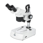 Motic Microscopio stereo SFC-11C-N2GG