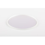 Motic Blaufilter (Ø 45mm) für BA310 MET Durchlicht