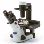 Olympus Mikroskop CKX53, trino, 100x, 200x, 400x, IPC/IVC x/y-stage