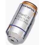 Olympus PLCN 60X/0.8 Plan Achromat Objektiv
