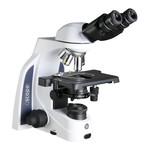 Euromex Microscopio iScope IS.1152-PLPH, binoculare