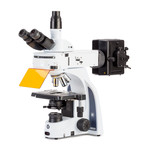 Euromex Mikroskop iScope, IS.3152-EPLi/6, bino