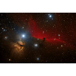 Flame Nebula and Horsehead Nebula, taken with the Omegon ADC, photo: Cesar Pinheiro