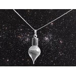 Jurassic Jewellery Stardust Meteorite Vial Necklace (Teardrop)