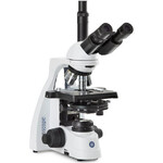 Euromex Microscopio BS.1153-PLPHi, trino, 40x-1000x