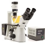 Optika Microscopio Mikroskop IM-3F-EU, trino, invers, phase, FL-HBO, B&G Filter, IOS LWD W-PLAN, 40x-400x, EU