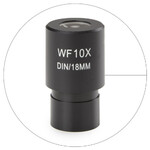 Euromex HWF 10x/18 mm, puntatore, EC.6010-P (EcoBlue)
