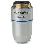 Euromex Obiettivo S100x/1,25 plan, a molla, immersione a olio, DIN, BB.8800 (BioBlue.lab)