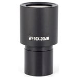 Motic Oculare WF10X/20mm (RedLine200)