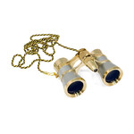 Levenhuk Opera glasses Broadway 3x25 silver (with LED light and chain)