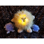 Celestial Buddies Polaris