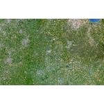 Planet Observer Regional-Karte Region East Midlands