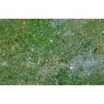 Planet Observer Regional-Karte Region London & Themse