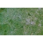 Planet Observer Regional-Karte Region West Midlands Großbritannien