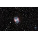 Messier 27, 200/1200 Newton, Schwarzwald, Julian Zoller