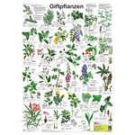 Planet Poster Editions Poster Giftpflanzen