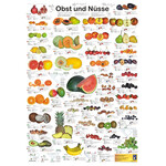Planet Poster Editions Poster Obst und Nüsse