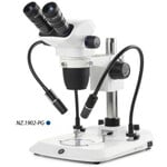 Euromex Microscopio stereo zoom NZ.1702-PG, 6.5-55x, Säule, 2 Schwanenhälse, Durchlicht, bino