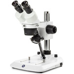 Euromex Stereomikroskop SB.1302-P StereoBlue 1/3 Bino