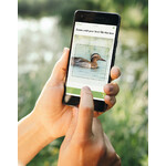 The app identifies the bird in your picture