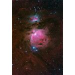 Affiche Oklop Orionnebel M42 40cmx60cm