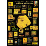 Planet Poster Editions Poster Leben im Bernstein