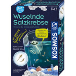 Kosmos Verlag Fun Science Wuselnde Salzkrebse