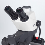 Motic Microscopio stereo zoom GM-161, trino, fluo,  7.5-45x, wd 110mm