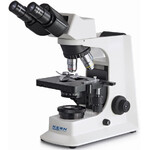 Kern Microscopio Bino Inf E-Plan 4/10/40/100, WF10x20, 20W Hal, OBL 125
