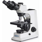 Kern Microscopio Trino Inf E-Plan 4/10/40/100, WF10x20, 20W Hal, OBL 135