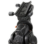 Mounting head