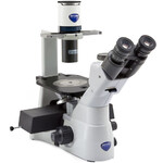 Optika Microscopio IM-3LD2, Plan IOS LWD PH, LED-FLUO, 400x, trino, B&G filter set