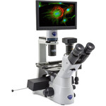 Optika Microscopio IM-3LD4D, 6MP, 12" display, trino, IOS U-PLAN F, LED-FLUO, LWD, 400x, 4 empty filter slots