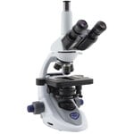 Optika Microscopio B-293PLi, N-PLAN IOS, 1000x, trino