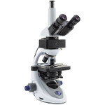 Optika Microscopio B-293LD1, LED-FLUO, N-PLAN IOS, 1000x dry, blue filterset, trino